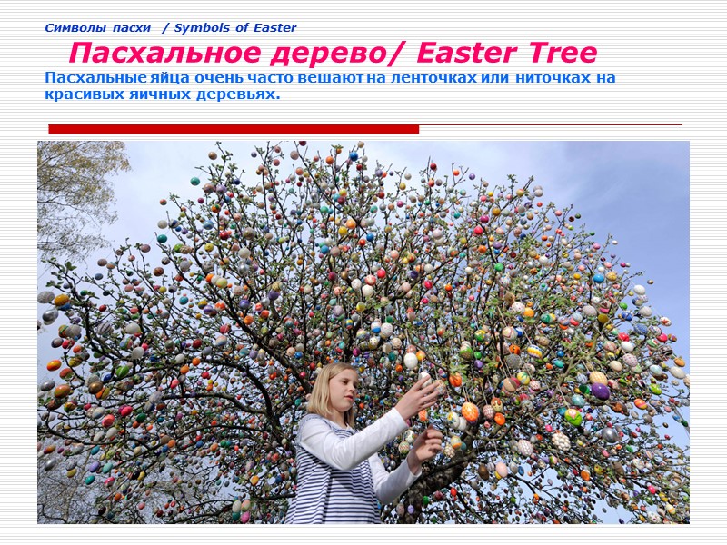 Cимволы пасхи  / Symbols of Easter     Пасхальное дерево/ Easter